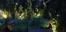 Outdoor LED Garden Spotlight/Uplight including Stake – 6W - #EZUL6 - LEDeze