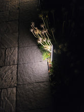 Garden Path Light – 6W - #EZPL32 - LEDeze