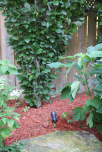 Outdoor LED Garden Spotlight/Uplight including Stake – 6W - #EZUL6 - LEDeze